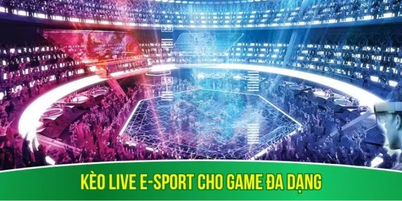 Luật Cá Cược Esports Tại 8DAY: Hướng Dẫn Chi Tiết