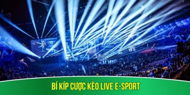 Luật Cá Cược Esports Tại 8DAY: Hướng Dẫn Chi Tiết